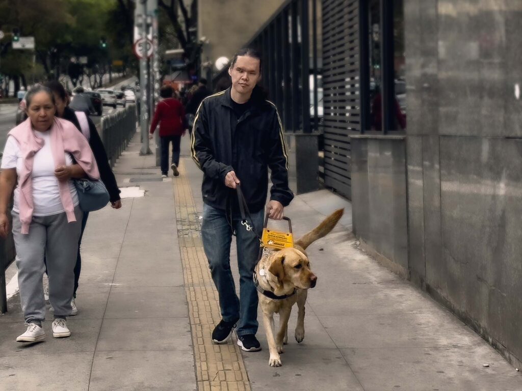 Marcelo passeia com seu cão-guia, Quim, pela calçada da Avenida Consolaçào na capital paulista. Outros pedestres e carros aparecem ao fundo, desfocados.
